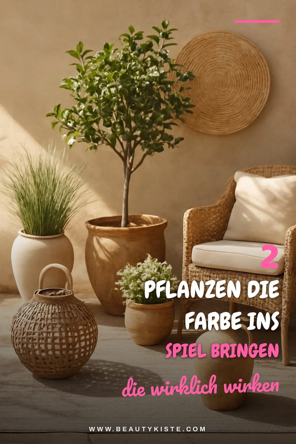 Diese 4 Pflanzen bringen Farbe in deinen Garten